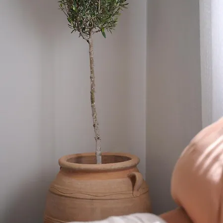 Spiti An Urban Heaven *